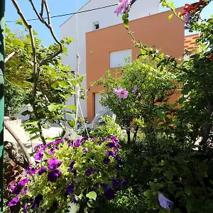 Ivanov Apartament